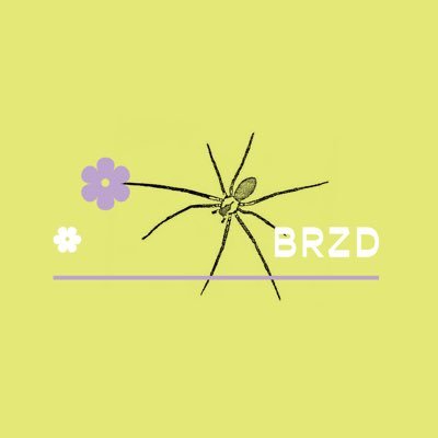 BROWN RECLUSE ZINE DISTRO Profile