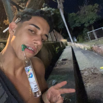 •insta:plferraz.