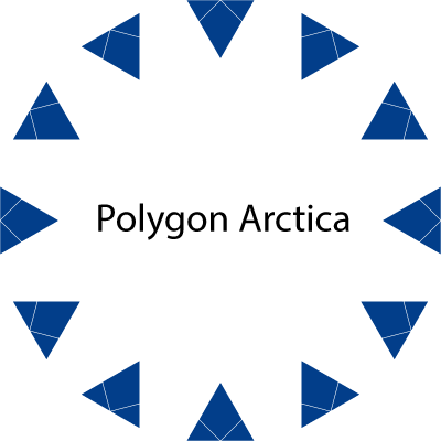 PolygonArctica Profile Picture