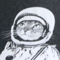 Cassie Whittell (@cassiepopo) 's Twitter Profile