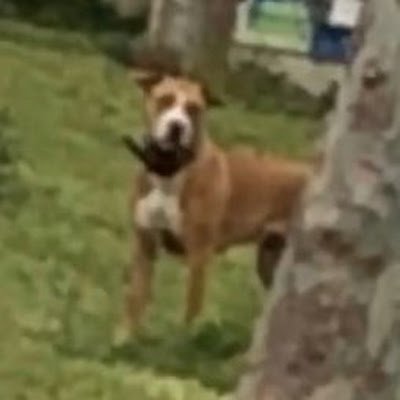 casals_andreu's profile picture. No juzgues por juzgar