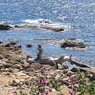 BKKatw's profile picture. $USDC $QNT $MNW $EWT $TAO $LEOX Wandering. Into freedom (thinking thus moving) and crypto since '16. * here for CT, not much posting.