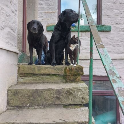 ST Holder at Burnley FC Lover of Black Labs (3) Meg(RIP)Spud and Ruby Retired (Solicitor) living the good life enjoy a cheeky vino/fizz/GnT at weekends 🇬🇧🥂🍾