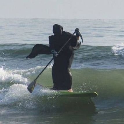 그 언젠가의 탑뇽과 뇽른...혼자 막 퍼먹는 사람...죄송해요 볼게 없어요...거의 뭐 구독계나 진배없음...