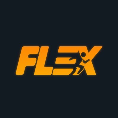 FLΞX.io | Metaverse