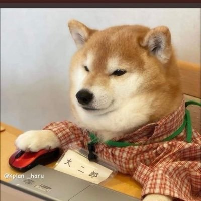TheDoge95 Profile Picture