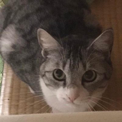 w11ねぇよんﾃﾞｽ。