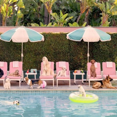 CharlotteB1577's profile picture. Writer. Parent. Bread baker. Political AF