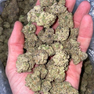 We got quality cannabis available for sale clean stuff tap in for asap drop 420