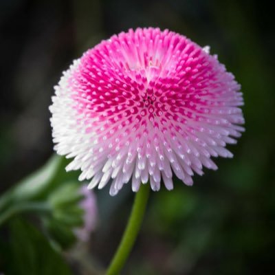 Alfatm_85's profile picture. كن انت فقط لترى الحياة بمنظور جميل