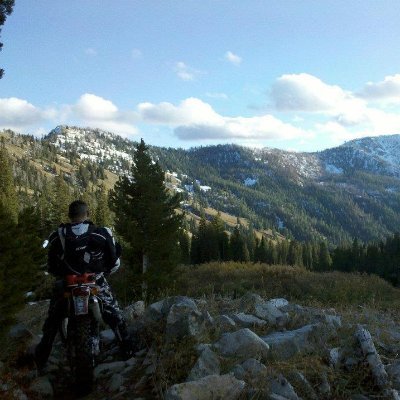 mikeash88's profile picture. 