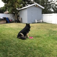 Colette M ~ The Right People Hear You Differently (@cm5700) 's Twitter Profile