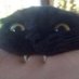 bri (@wasabiicat) Twitter profile photo bri (@wasabiicat) Twitter profile photo
