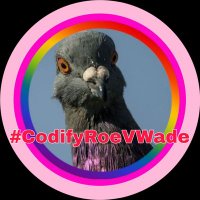 Chuck Grassley's Pidgin (@chuckspidgin) 's Twitter Profile Photo Chuck Grassley's Pidgin (@chuckspidgin) 's Twitter Profile Photo