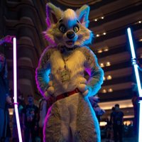 Smokey (@smokey_floof) 's Twitter Profile