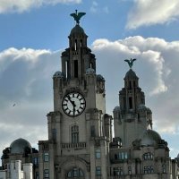 Wayne Scholes (@waynescholes) 's Twitter Profile