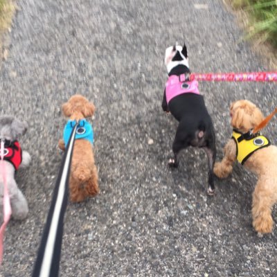 kazu85990464's profile picture. 日本が大好き