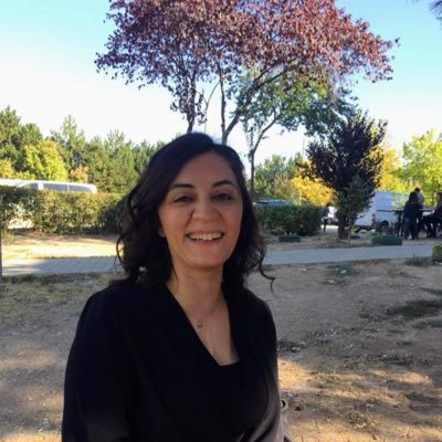 basakdediki's profile picture. 