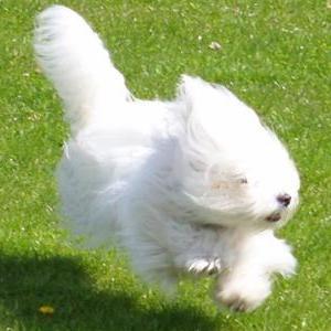 sarai_t's profile picture. メイン兼推し活用
日常をほぼつぶやかないので結局推し活専用、主に個人Vtuber（歌、雑談系が多め）推し
ゆるゆるいろんなところに出没します