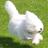 sarai_t's profile image