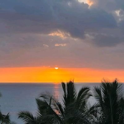 Chichi286196494's profile picture. Yg penting seru