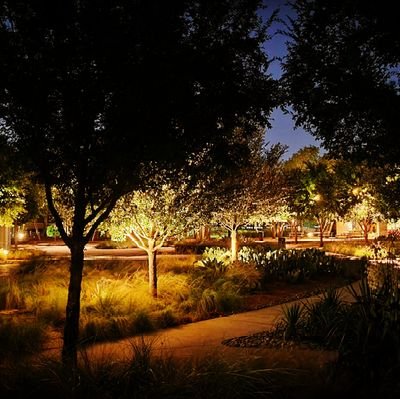 Mmhossain_math's profile picture. I know that I know nothing