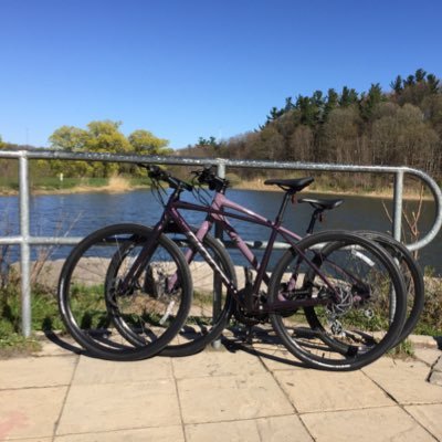 kashfimojtaba's profile picture. 