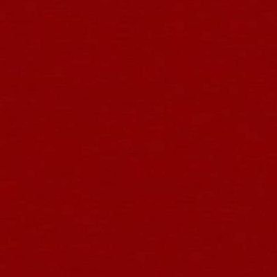 arandomdudette's profile picture. 