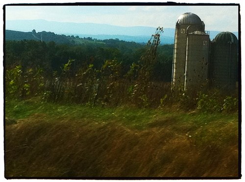 daneish61's profile picture. english teacher/screenwriter/playwright/film critic/homecoming king