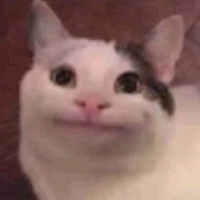 Ruels22's profile picture. imagina tener coxis intacto
