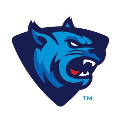The official Twitter for the @TheeRustCollege Athletics Dept. 🐾 #YouShouldaBeenABearcat #BearcatNation @GCACinfo @PlayNAIA @Nike @Eastbay 🥎⛹🏽‍♀️⚾️🏐⛹🏽‍♂️🎾