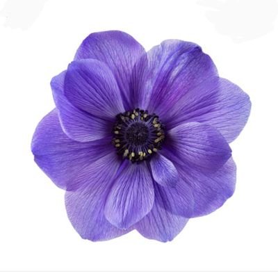 Dr_M_Strange's profile picture. 