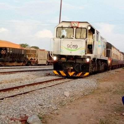 gadielgayogmai1's profile picture. Education