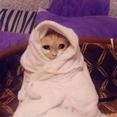 iamthegreatjo's profile picture. Jo The Great