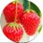 みつき🍓のアイコン