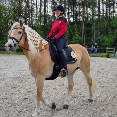 Dashii27406654's profile picture. Pferde, Gaming, uvm.