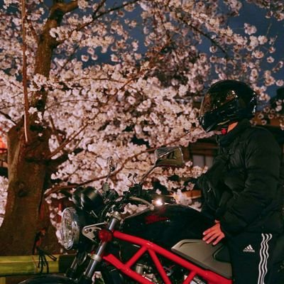 VTR250🏍️ /京都/バイク乗りのみなさん仲良くしてください😌