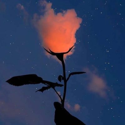 Sasr72733044's profile picture. 