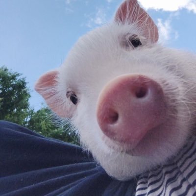 jamoncin25's profile picture. 