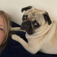 Ms.Heilman (@bethheil3) 's Twitter Profile Photo Ms.Heilman (@bethheil3) 's Twitter Profile Photo