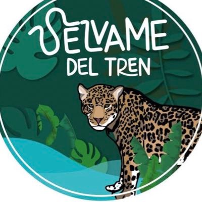 Esta es una cuenta colectiva para proteger la #SelvaMaya, su biodiversidad, el agua, sus ríos subterráneos, cenotes, y arqueología. #SelvameDelTren