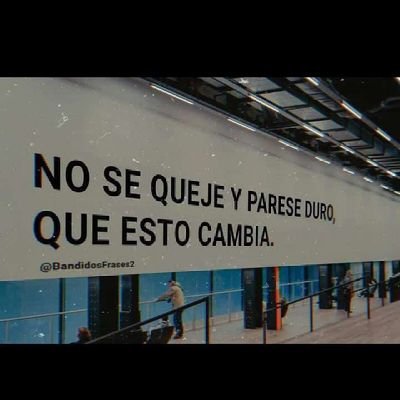 William87726738's profile picture. Noticia