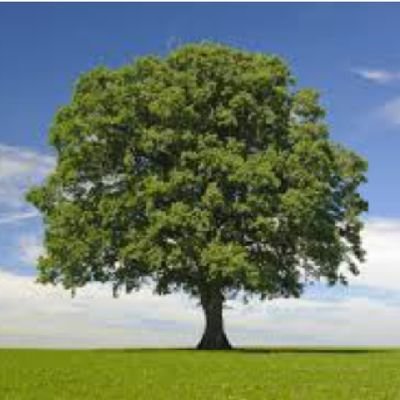 achakzaisahib12's profile picture. Physician | Critic of Dynastic Politics & Yellow Journalism | Islam | PAK | #NoSmoking 🚭