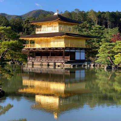 LLMqE6ljKVw83C9's profile picture. SNS初心者ですが宜しくお願い致します🥺