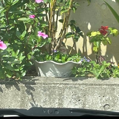 よろしく