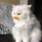 anuling_satan's profile image