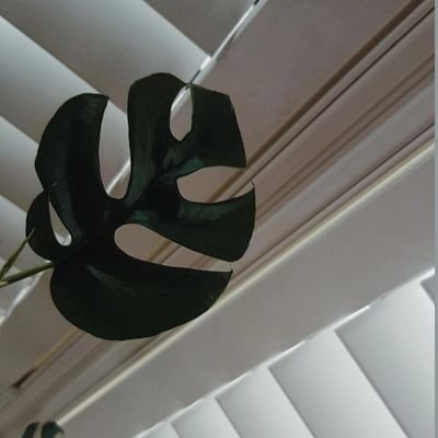 ImJoyeuse's profile picture. Equilibrio 🌿