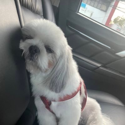 dwardtc's profile picture. Mahina ang utak at walang kasing tamad si Bonget. Final na.