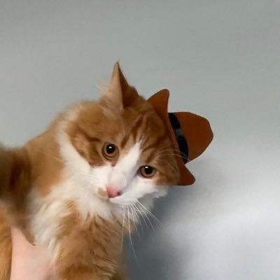 ritreid's profile picture. Serial Entrepreneur. Libertarian.