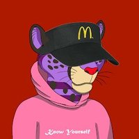 El ' Tillof (@tillofbuckland) 's Twitter Profile